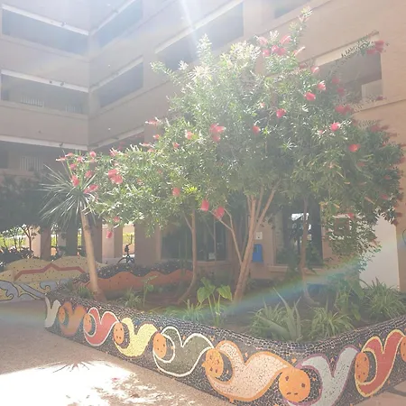 Apartamento Playa Ribera Med002 Venta de San Antonio-Estacion